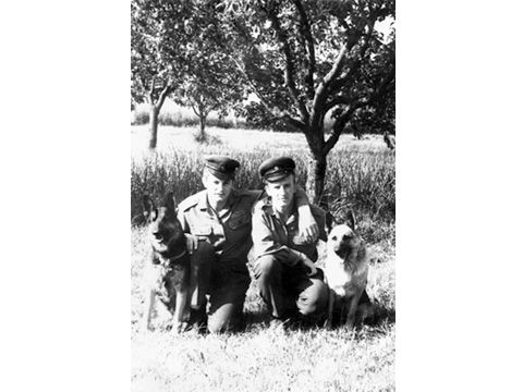 Foto 10